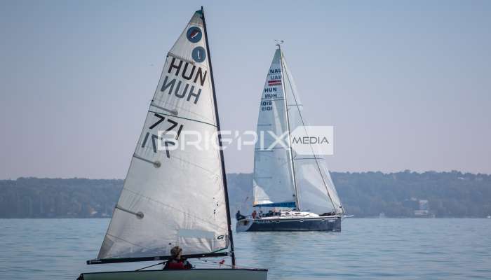 JegesmedveKupa2019 - 3534