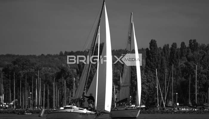 JegesmedveKupa2019 - 3510