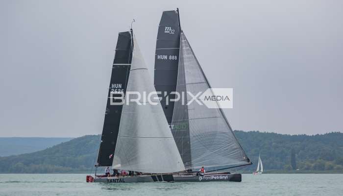 Feherszalag2018 - 1524