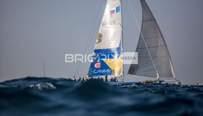 Barcolana /2018 - 1459