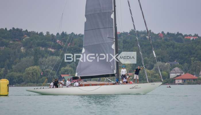 Feherszalag2018 - 1505