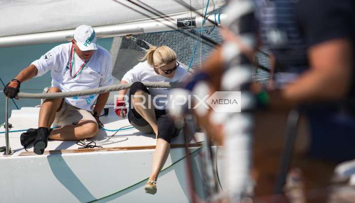 AlkotmanyKupa2017 - 2460