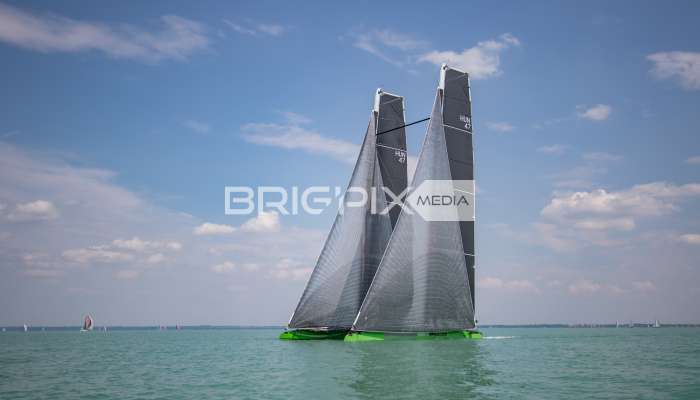 Feherszalag2018 - 1544