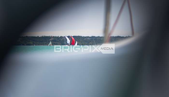 AlkotmanyKupa2017 - 2463