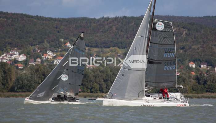 MOLegykezes2017 - 2340