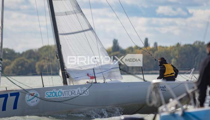 MOLegykezes2017 - 2316