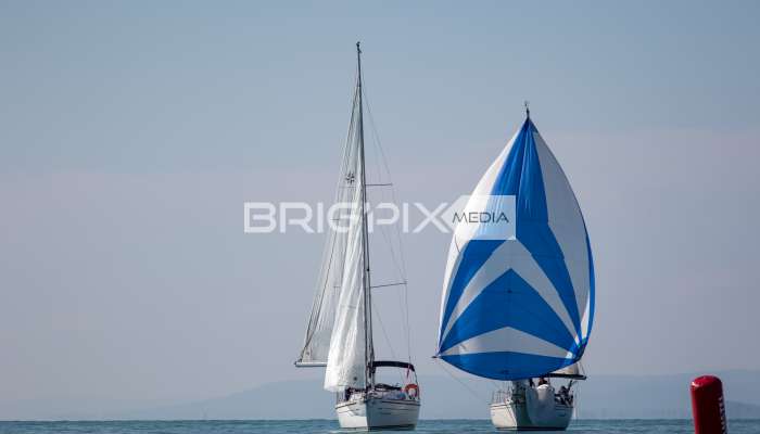 JegesmedveKupa2019 - 3527