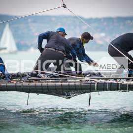 Feherszalag2018 - 1588