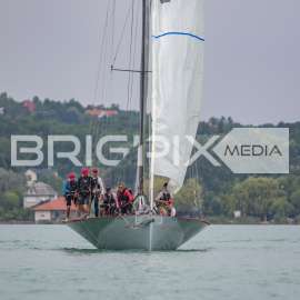 Feherszalag2018 - 1514