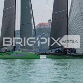 Feherszalag2018 - 1558