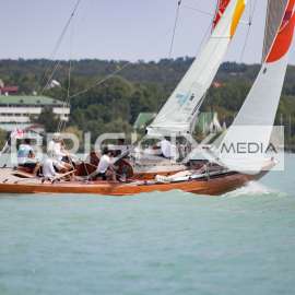 AlkotmanyKupa2017 - 2477