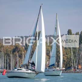 JegesmedveKupa2019 - 3511