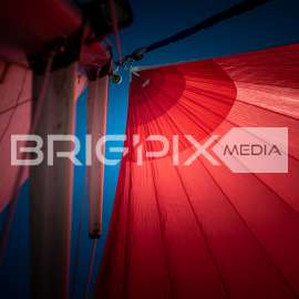 JegesmedveKupa2019 - 3506