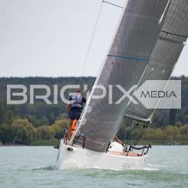 AlkotmanyKupa2017 - 2486