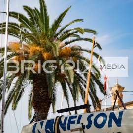 Centomiglia2017 - 2710