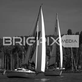 JegesmedveKupa2019 - 3510