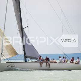 AlkotmanyKupa2017 - 2481