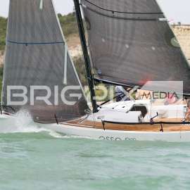 AlkotmanyKupa2017 - 2483