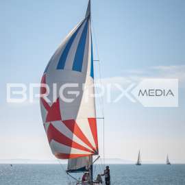 JegesmedveKupa2019 - 3537