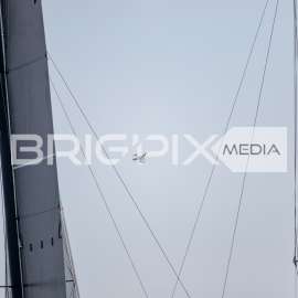 Feherszalag2018 - 1615